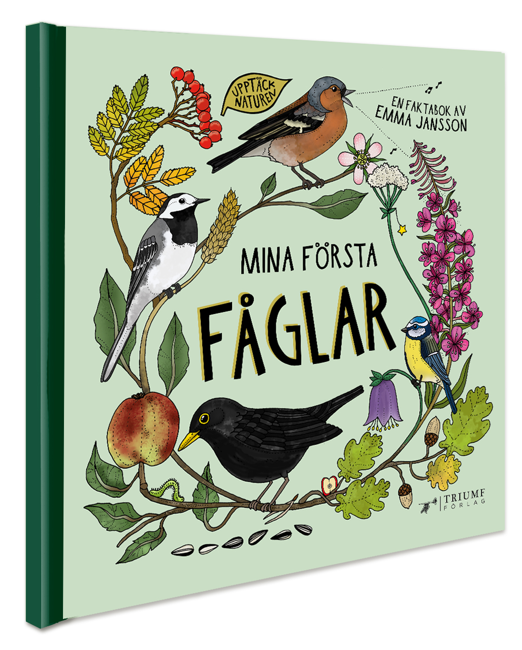Mina första fåglar - 2