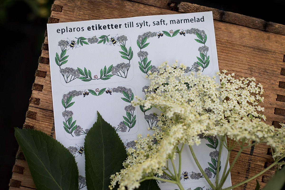 A5 ark - 8 st etiketter - Fläder - 2