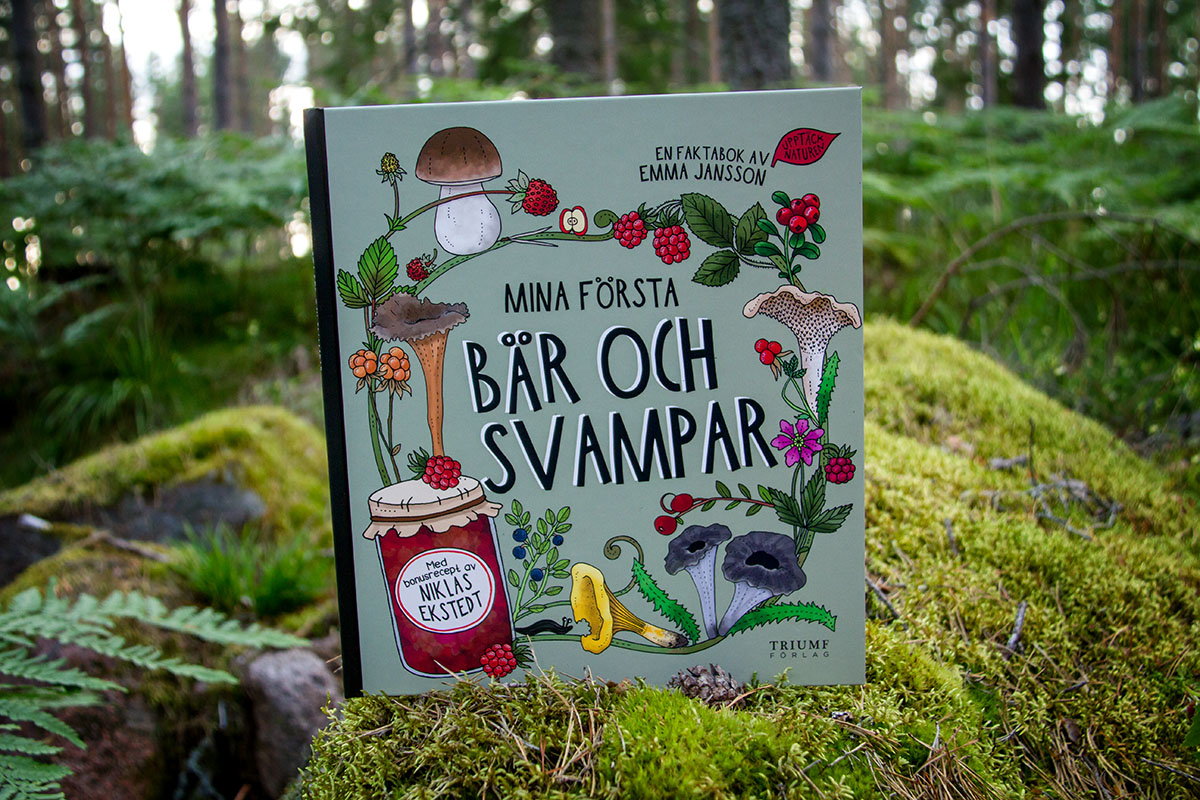 Mina första bär och svampar - 2