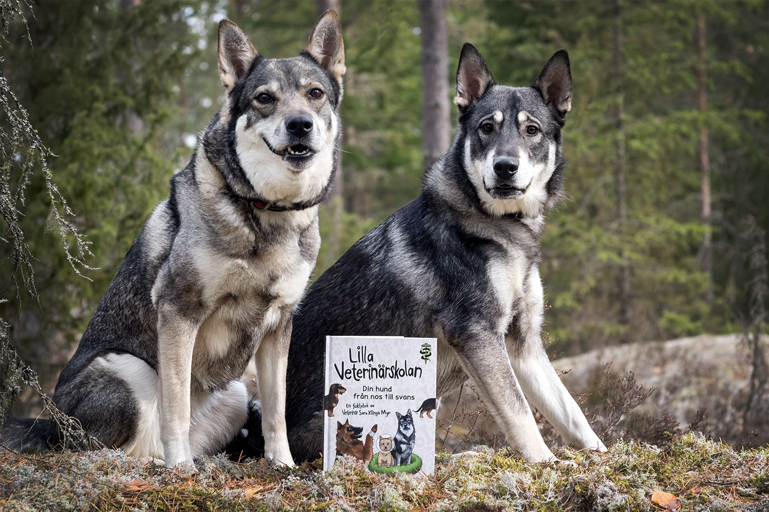 Lilla veterinärskolan - Din hund från nos till svans - 3