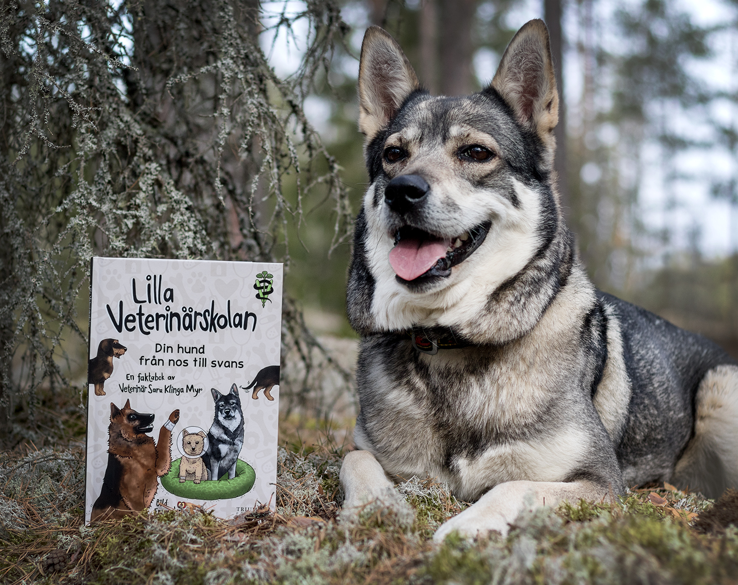 Lilla veterinärskolan - Din hund från nos till svans - 4