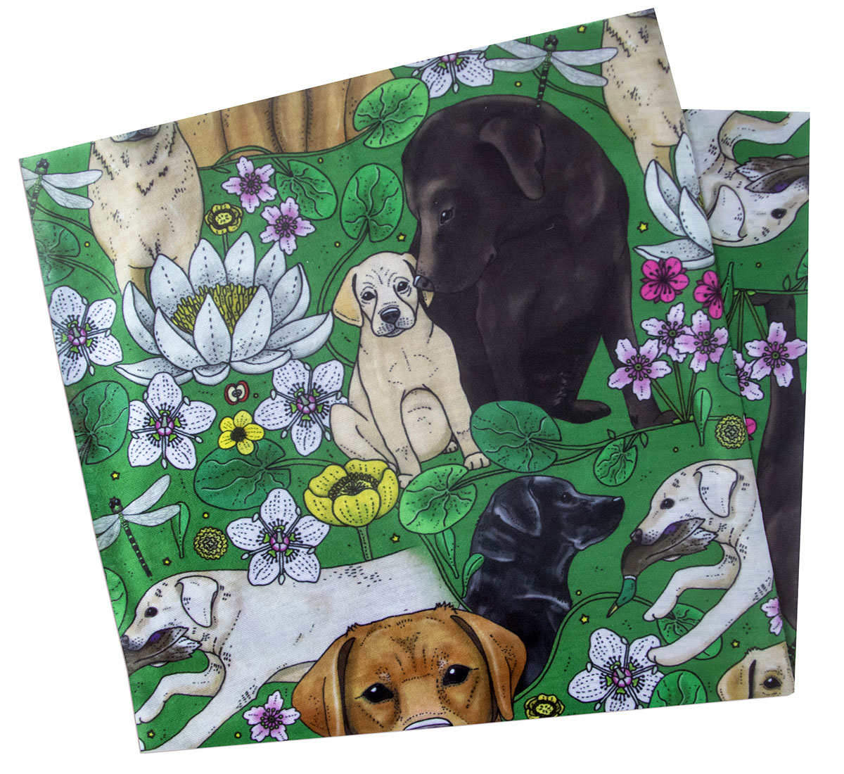 Tub / multiscarf Labradorer - 2