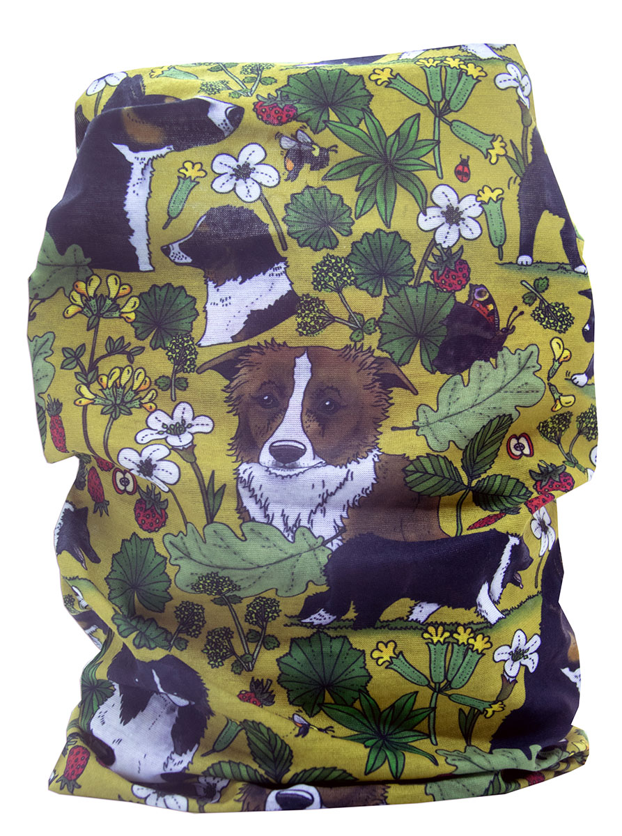 Tub / multiscarf Border collie