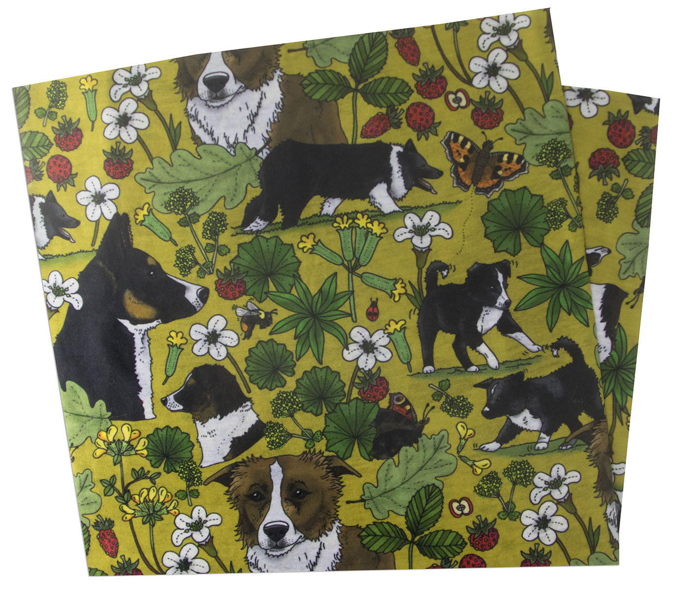 Tub / multiscarf Border collie - 2