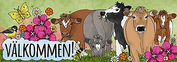 Skylt - Välkommen Kvigflock