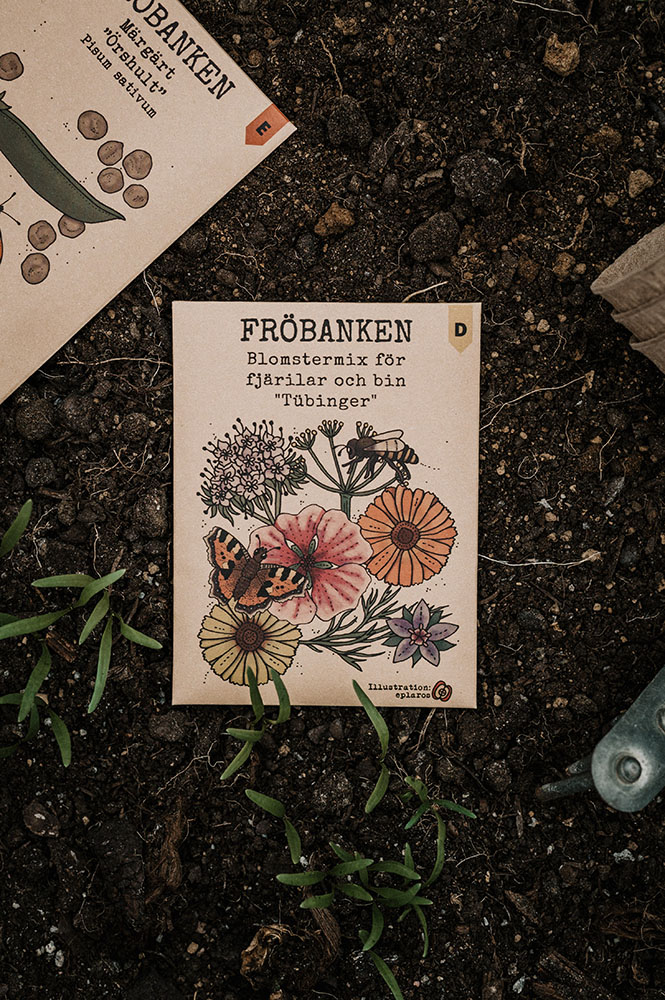 Fröbanken Blomstermix för fjärilar och bin - 2