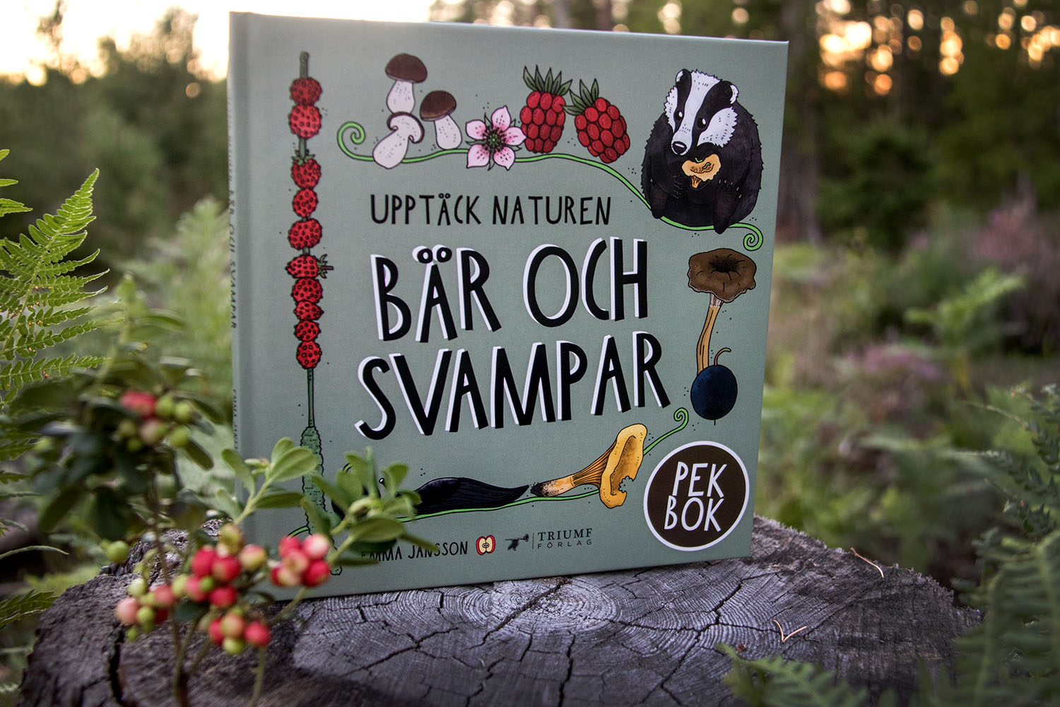 Pekbok - Bär och svampar - 2