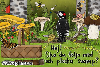 Vykort 10x15 cm Hej, ska du följa med och plocka svamp?