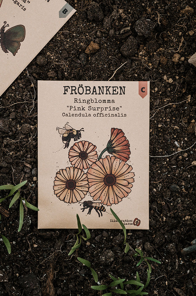 Fröbanken Ringblomma - Pink surprise - 2