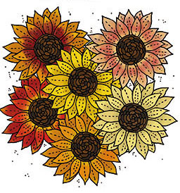 Fröbanken Solros - Autumn beauty