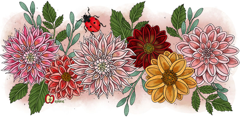 Vattenflaska - Dahlia - 2