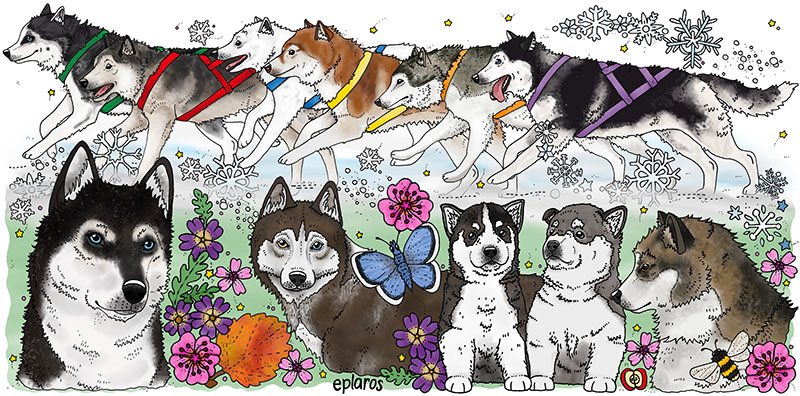 Vattenflaska - Husky - 2