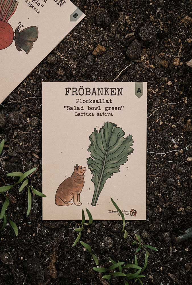 Fröpåse - Sallat inkl. odlingspinne - 3