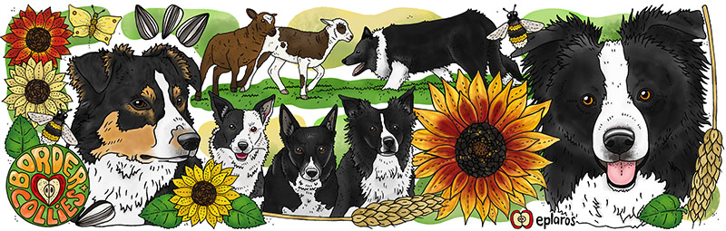 Emaljmugg - Border collie - 3