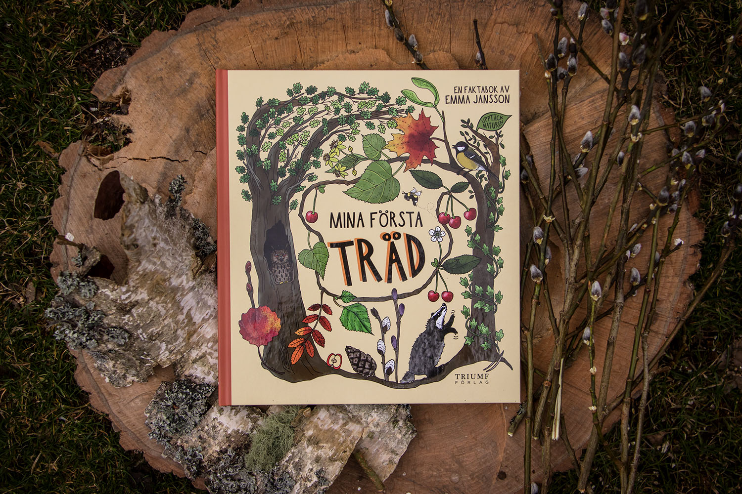 Mina första träd - 2