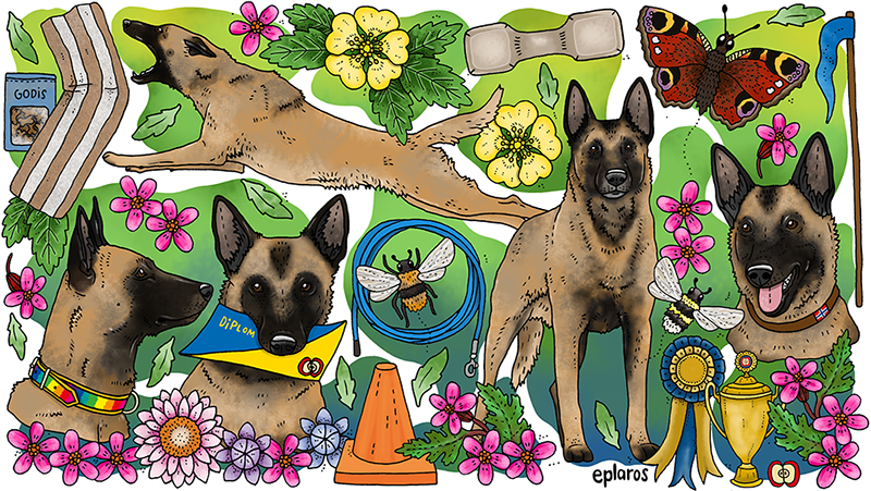 Termosmugg - Belgisk vallhund malinois - 2