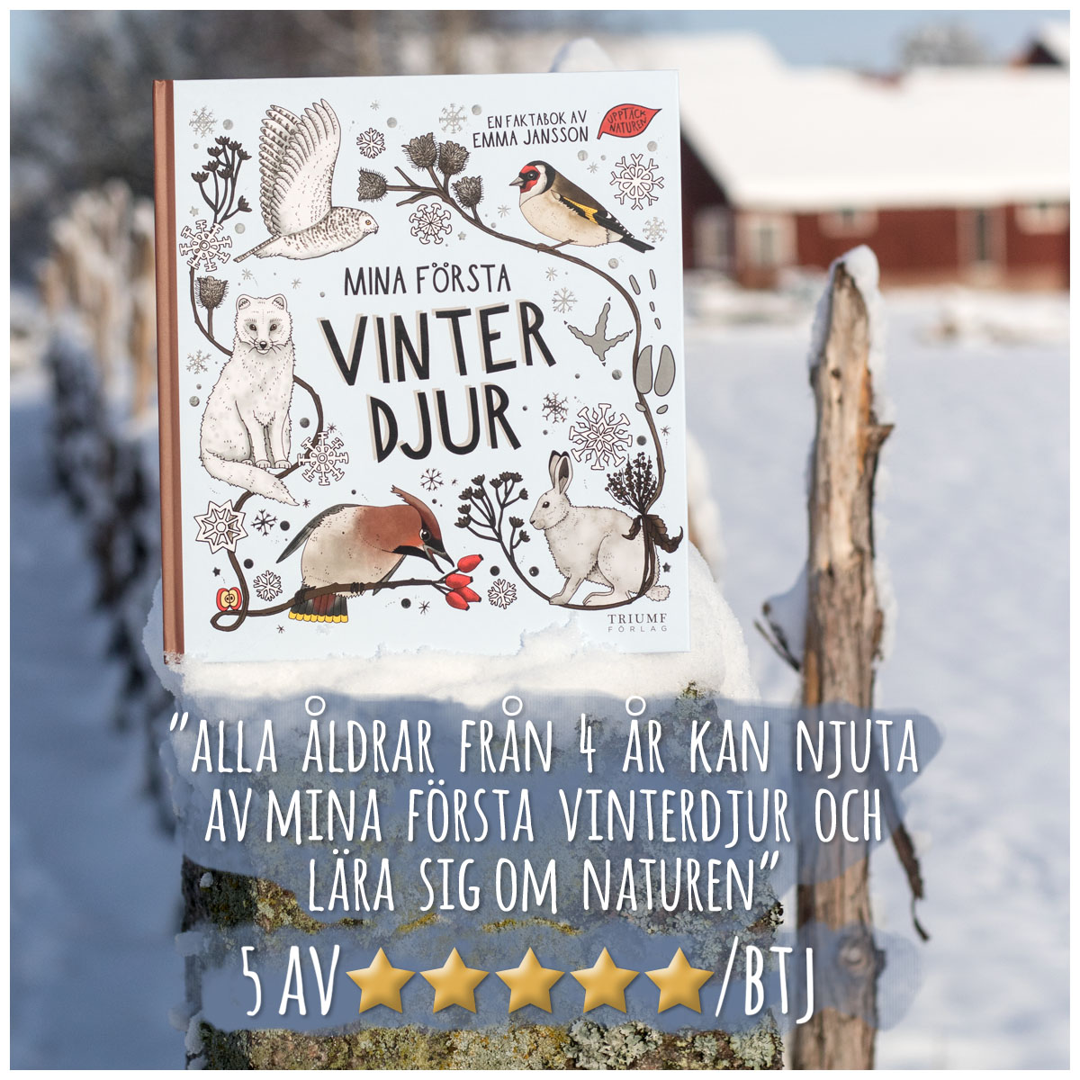 Mina första vinterdjur - 2