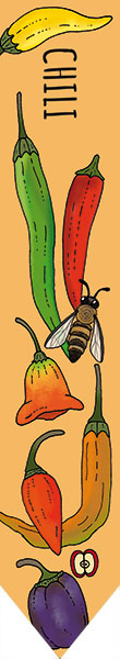 Odlingspinne - Chili