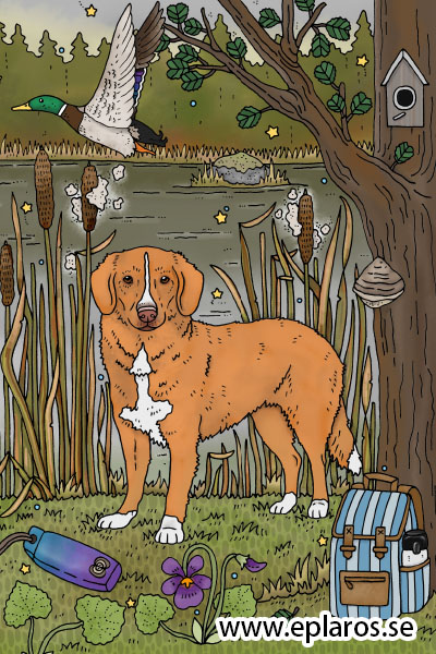 Vykort 10x15 cm Gräsandsviken