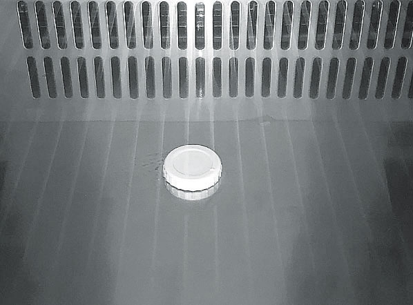 Glassfrys -25°/-18°C kylmedium R290, 740x880x2025mm - 6
