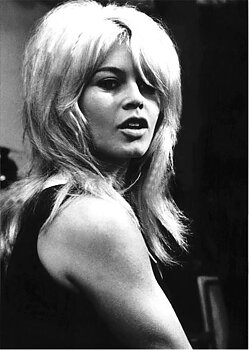 BARDOT 