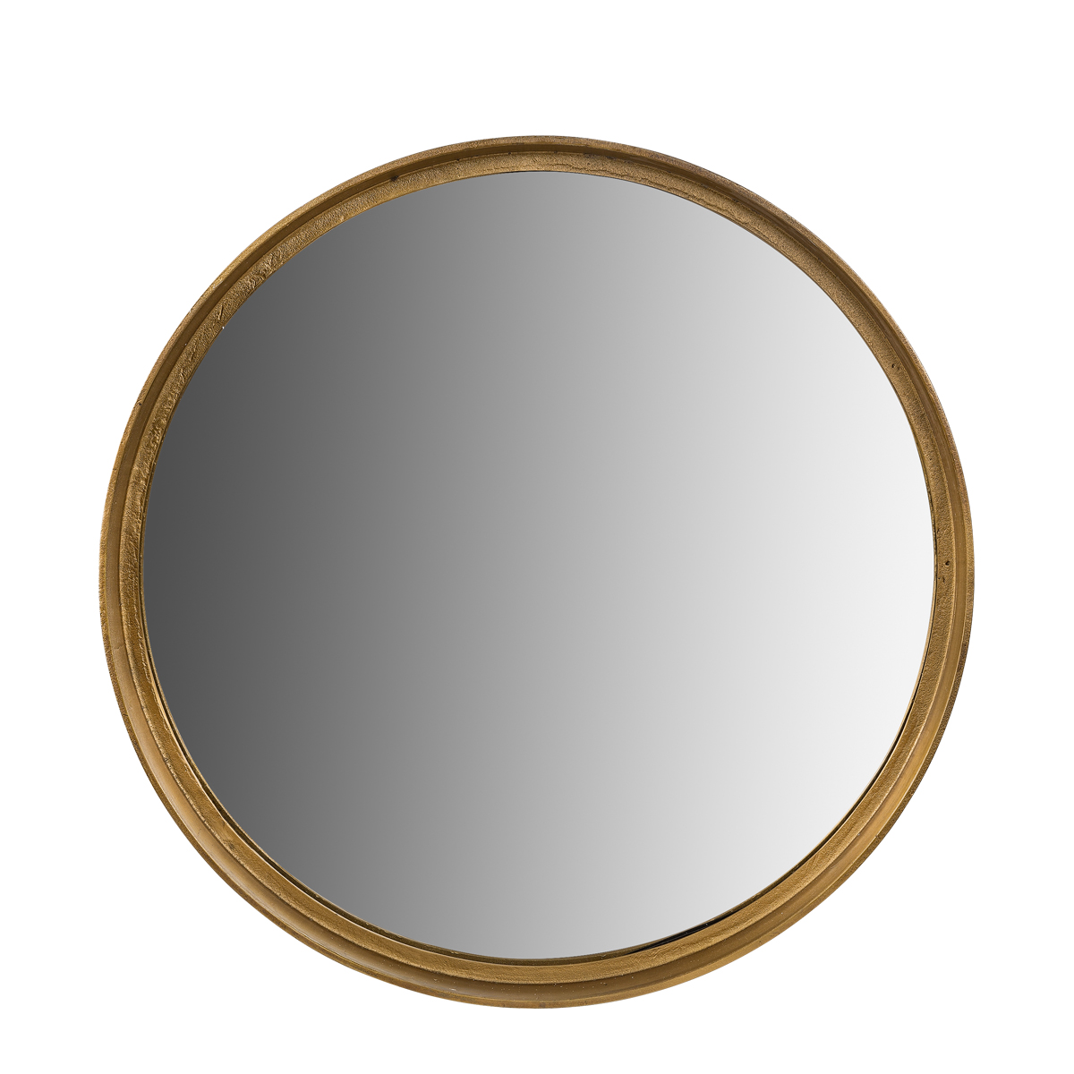 DINO Mirror - 2