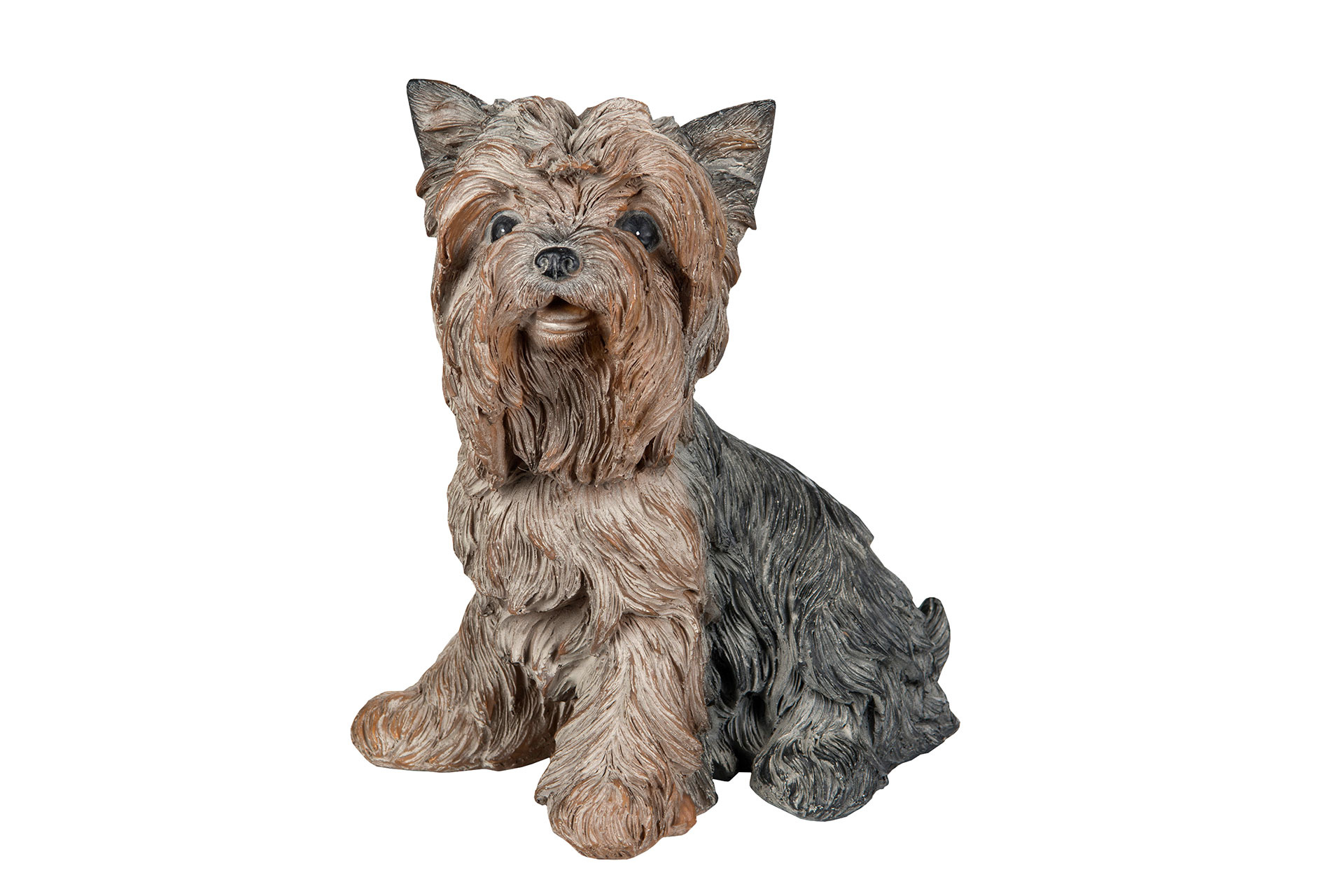 Hund Yorkshire - 2