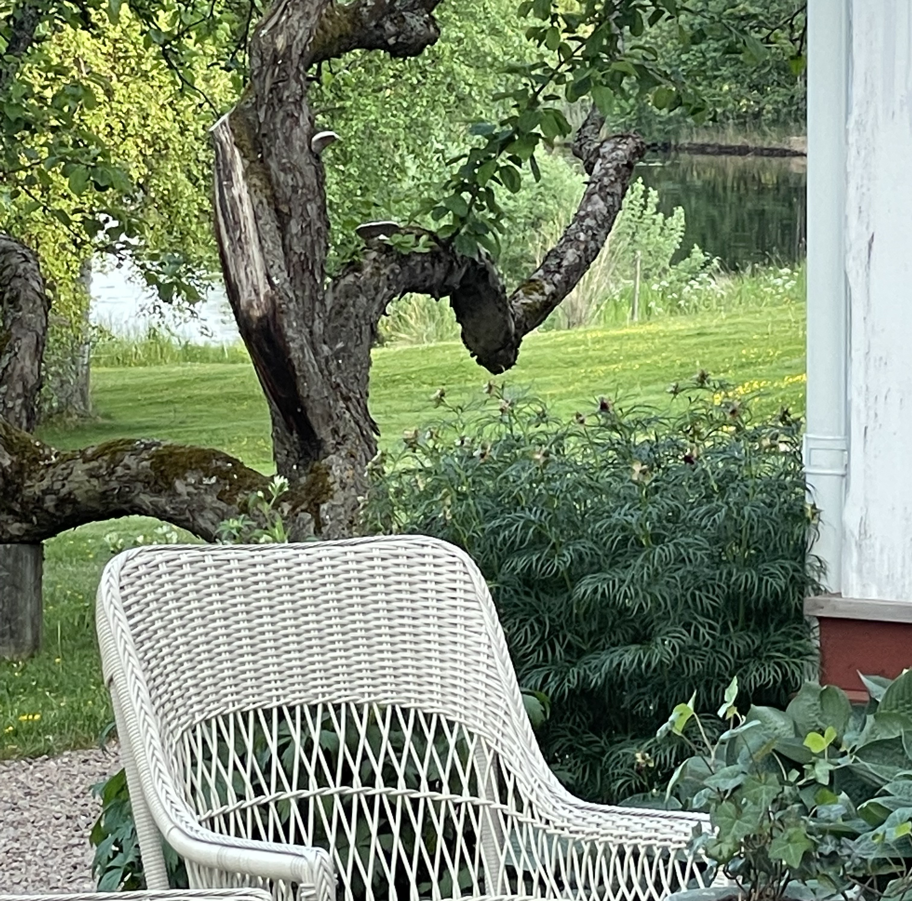 Trädgård o uterum – Skapa ditt drömrum  