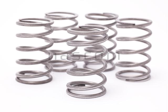 Wastegatefjäder Audi 10V 1 bar  - 2