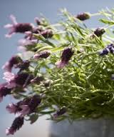 Ansiktsbehandling deep skin med lyxmask+30 min massage - 90 min