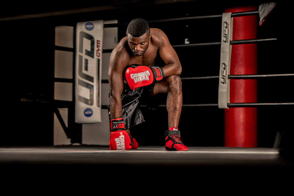 Ashton Pro Boxing Gloves, red/black - 8