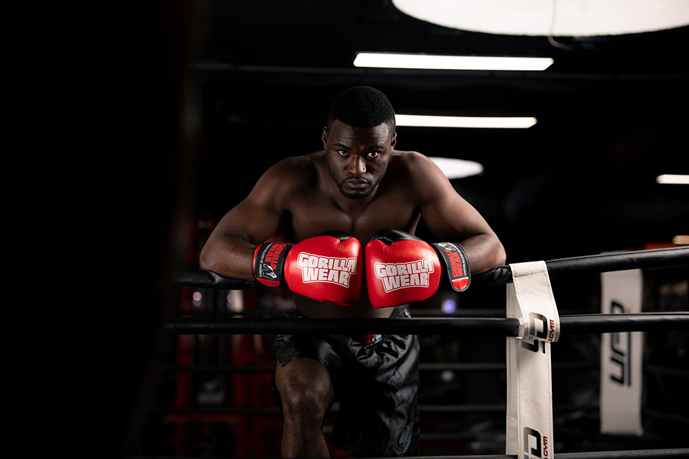 Ashton Pro Boxing Gloves, red/black - 7