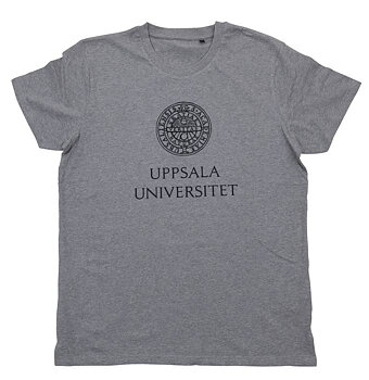 T-shirt, grey, unisex