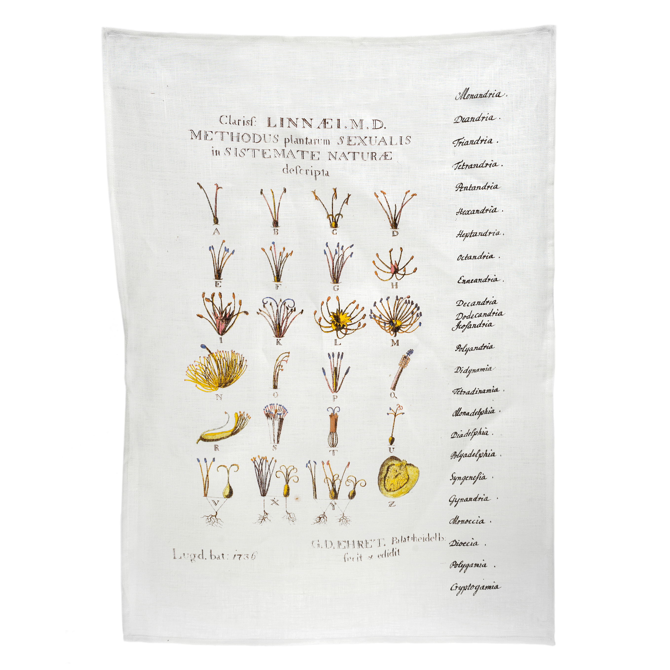 Tea towel, Linnaeus