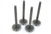 Avgasventiler, sats    ID/DS  66-75