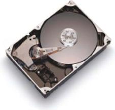 Maxtor DMAX- 10, 300GB, 7200rpm, 16MB cache,