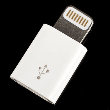 Mini Micro USB to Lightning pin plug adapter( MicroUSB kontakt omvandlas till Iphone5 kontakt)