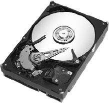 Seagate HDD 3.5 SATA 6 Gb/s 1 TB, ST1000VM002