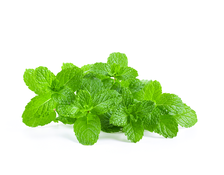 india, Mint, diosmos, 55g - 2