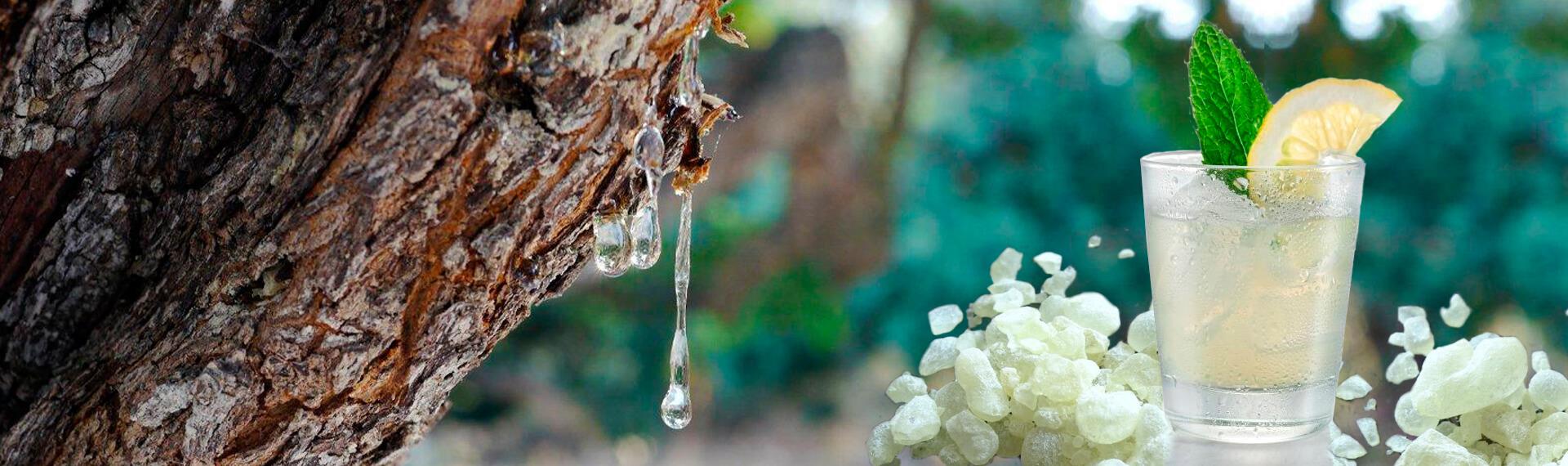 Greek Natural Chios Mastic Mastiha small Tears 10g P.D.O. Grön x 10st, fraktfritt - 4