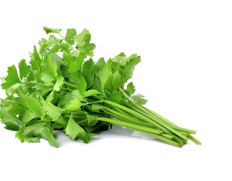 Celery 40g - 2