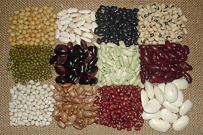 Beans & Rice