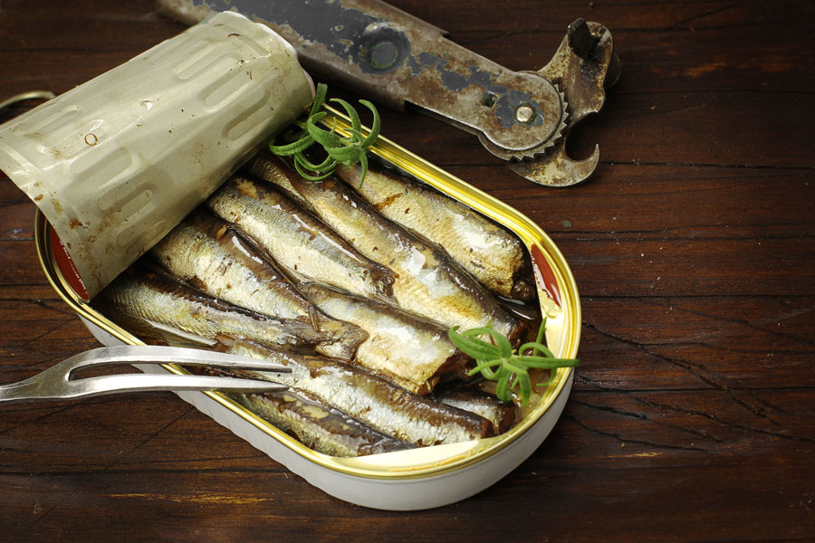 fish
