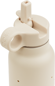 Liewood - Falk vattenflaska 350 ml, Peach / Sandy