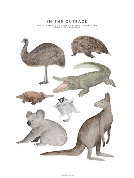 Fashionell - Poster, In the Outback 50x70cm