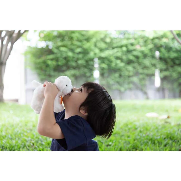 PlanToys - Pet Care Set - 5