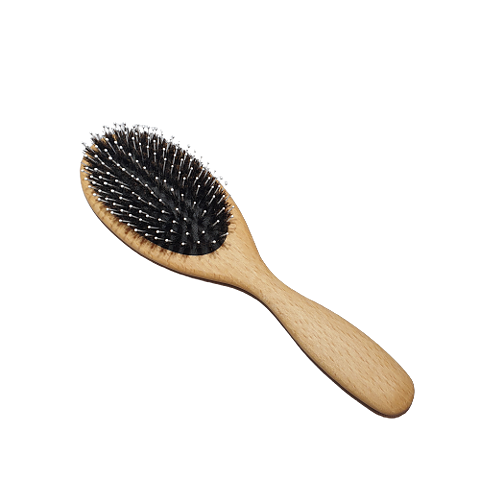  Oval - Wild boar bristles/pins