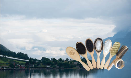 Brushes