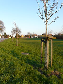 Tryckimpregnerad stolpe, prisexempel 150 x 5 cm