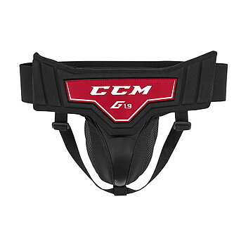 CCM GJ 1.9 susp Int